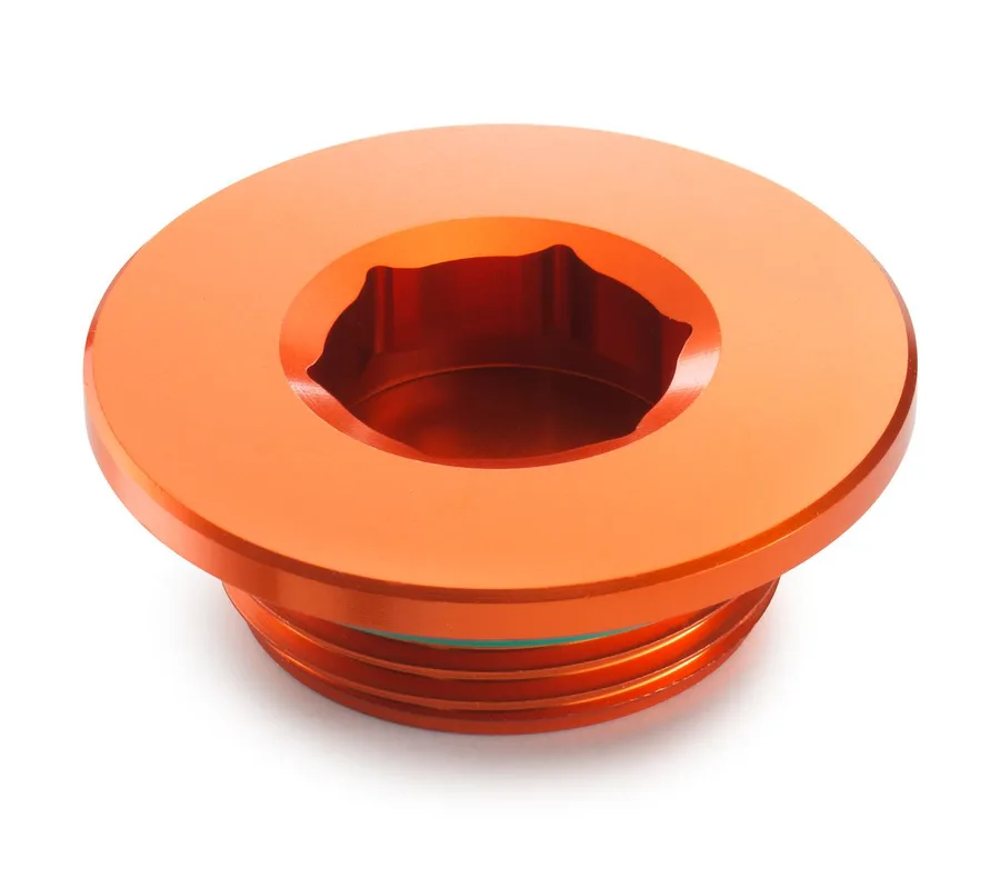 Ignition cover plug