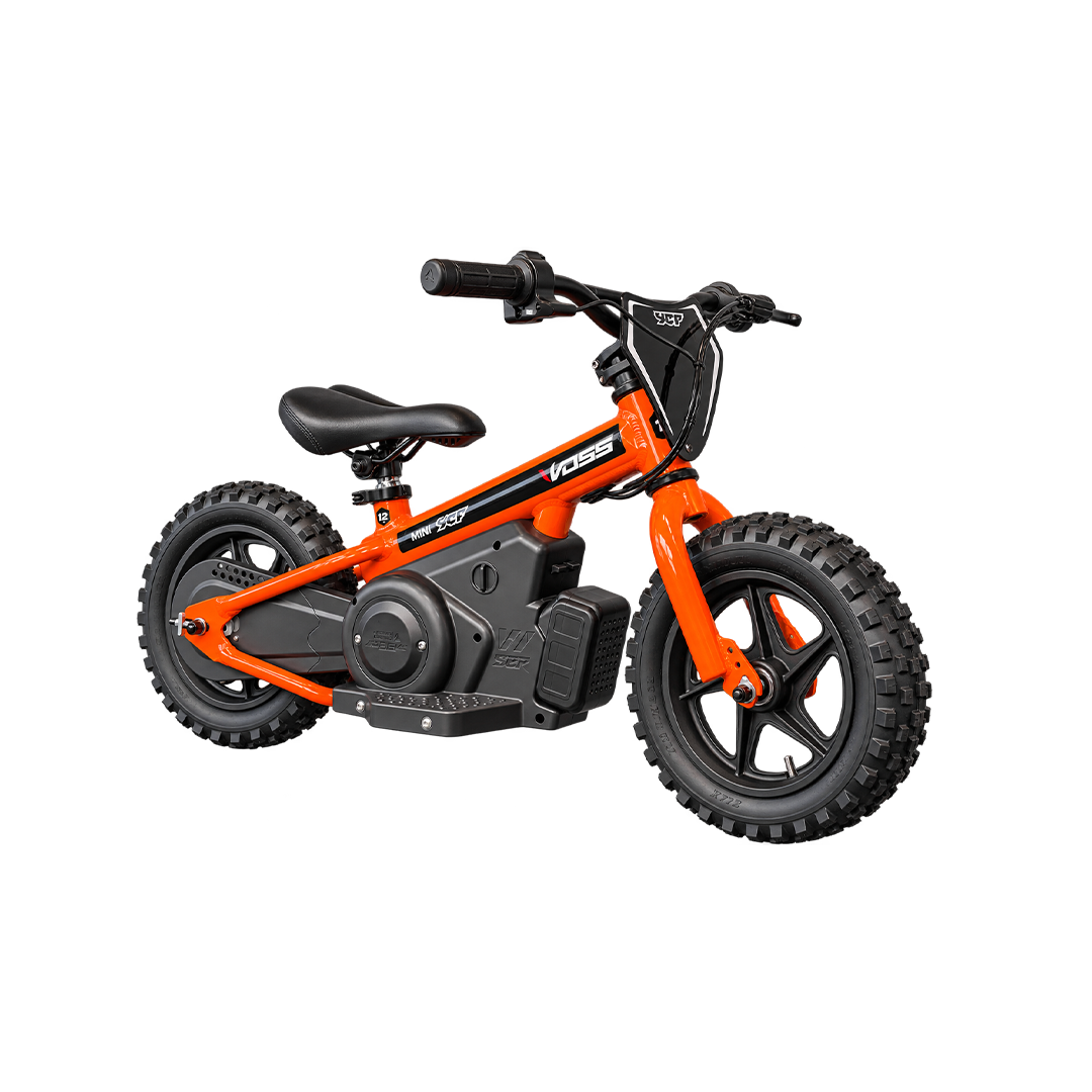 Electric Balance Bikes
